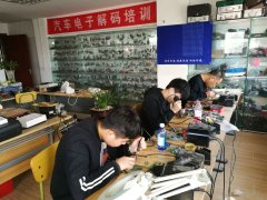 屌逼视频网站